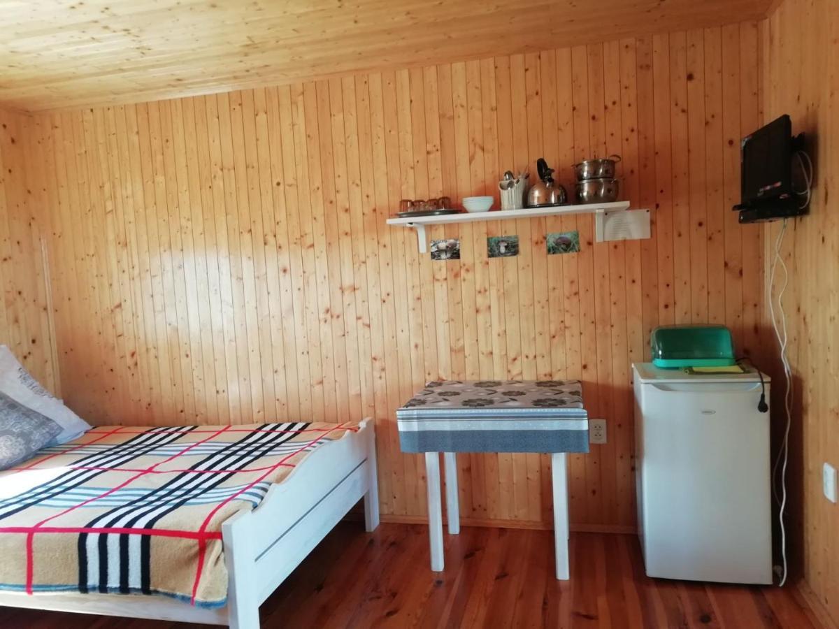 Білий Лебідь Pulemets Buitenkant foto